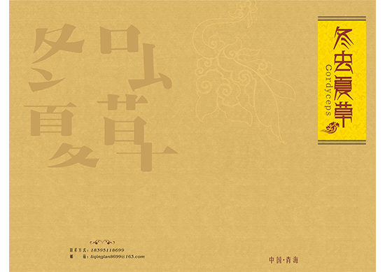 &#108;&#111;&#103;&#105;&#110;&#95;&#35946;&#38376;&#22269;&#38469;